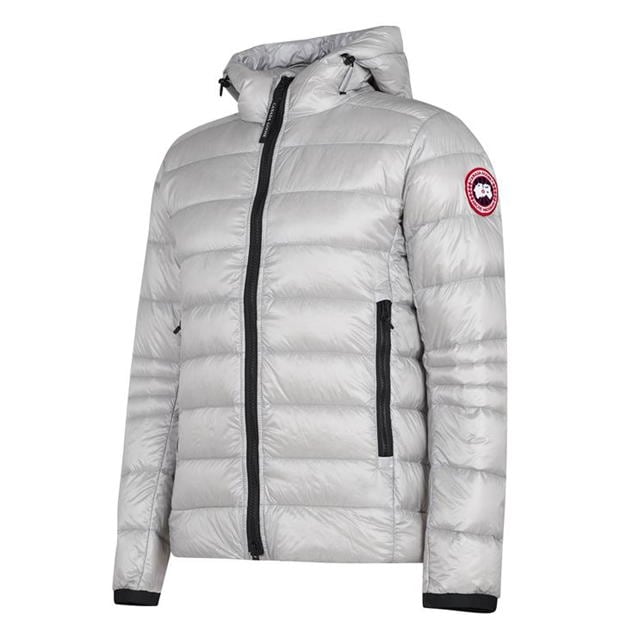 Canada goose gray Clearance